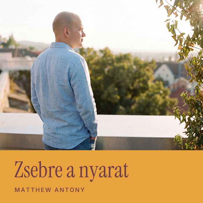 Zsebre a nyarat